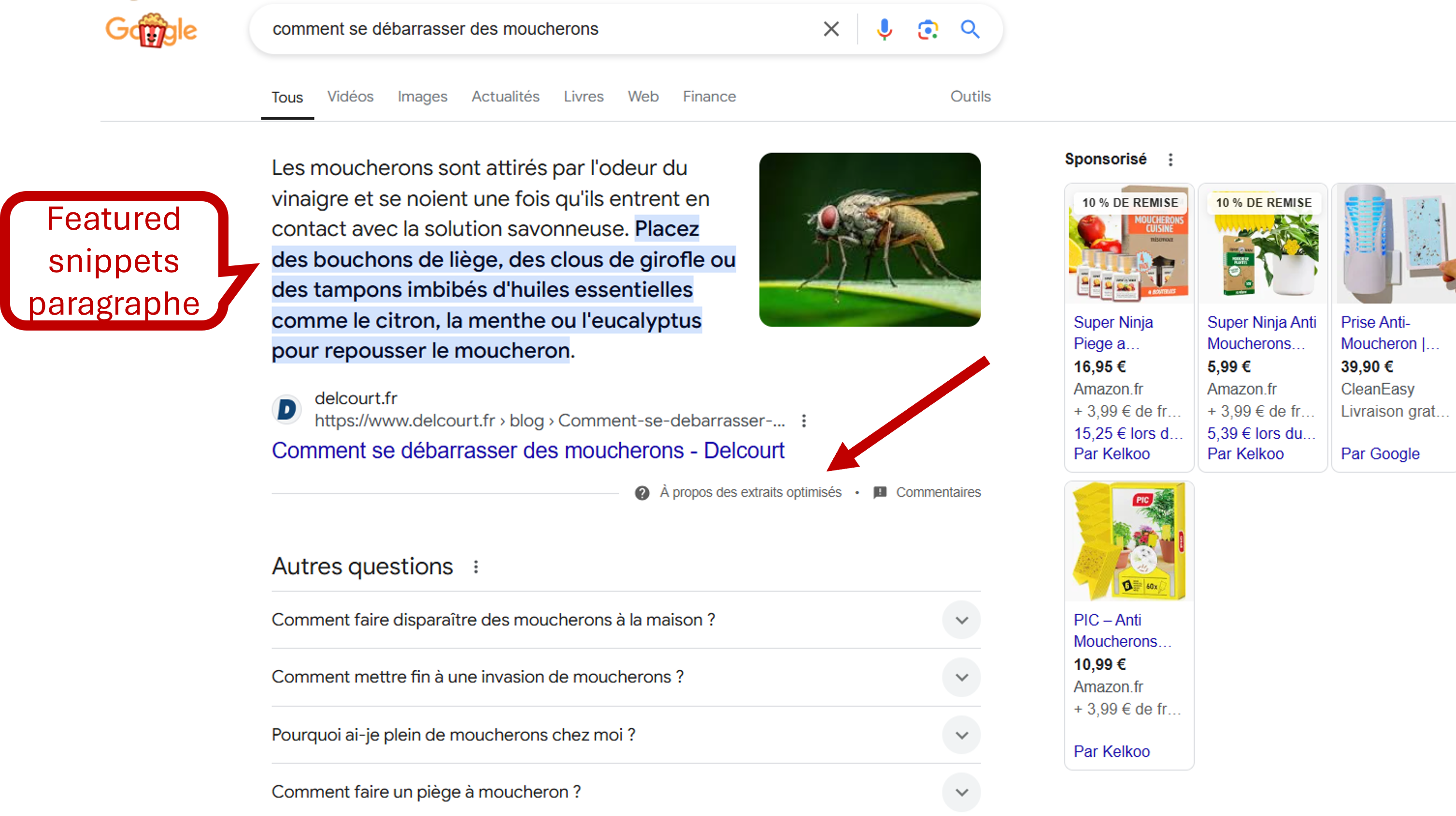 featured snippets 2024